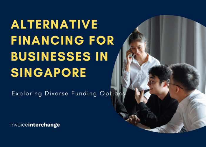 Alternative Financing for Businesses in Singapore: Exploring Diverse Funding Options