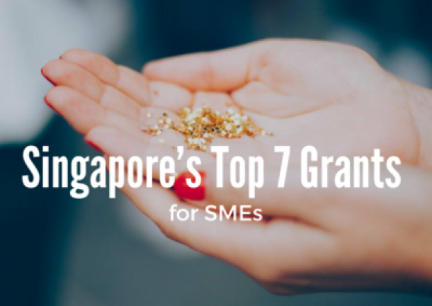 text: Singapore Top 7 Grants for SME's