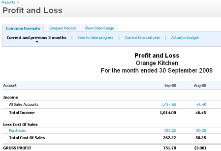 Profit and Loss Statement